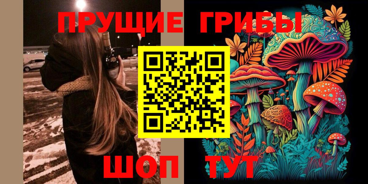 Хабаровск  Псилоцибиновые грибы Psilocybine cubensis  Псилоцибиновые грибы MAGIC MUSHROOMS  Вход с VPN 